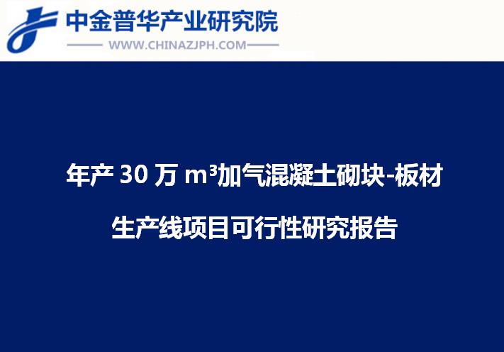 年產30萬m3加氣混凝土砌塊-板材生產線項目可行性研究報告