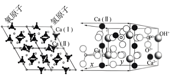 羥基磷灰石（HAP）在醫(yī)美行業(yè)和工業(yè)應(yīng)用方面表現(xiàn)出強(qiáng)勁的增長勢頭