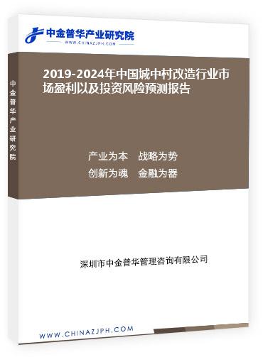 2019-2024年中國城中村改造行業(yè)市場盈利以及投資風險預測報告