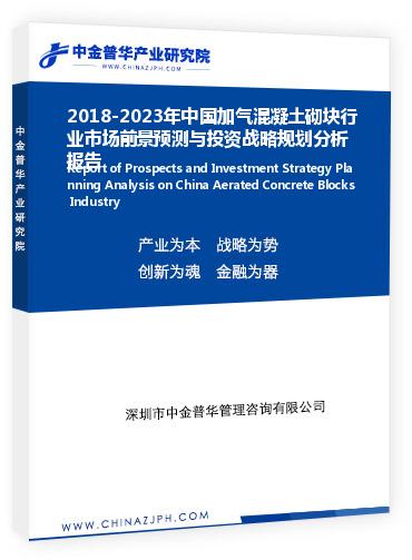 2018-2023年中國加氣混凝土砌塊行業(yè)市場前景預測與投資戰(zhàn)略規(guī)劃分析報告