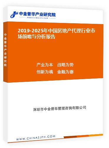 2019-2025年中國房地產代理行業(yè)市場前瞻與分析報告