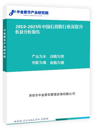 2019-2025年中國石膏粉行業(yè)深度分析及分析報(bào)告