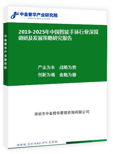 2019-2025年中國智能手環(huán)行業(yè)深度調研及發(fā)展策略研究報告