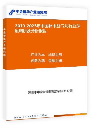 2019-2025年中國補中益氣丸行業(yè)深度調(diào)研及分析報告