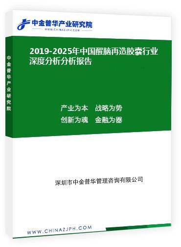 2019-2025年中國醒腦再造膠囊行業(yè)深度分析分析報告