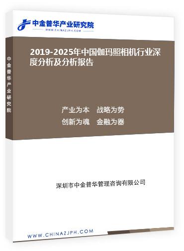 2019-2025年中國(guó)伽瑪照相機(jī)行業(yè)深度分析及分析報(bào)告