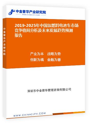 2019-2025年中國氫燃料電池車市場競爭格局分析及未來發(fā)展趨勢預測報告