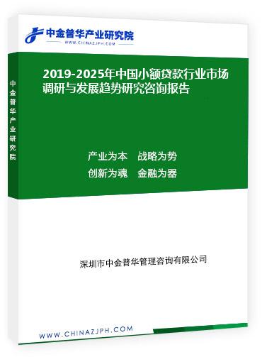 2019-2025年中國小額貸款行業(yè)市場調研與發(fā)展趨勢研究咨詢報告