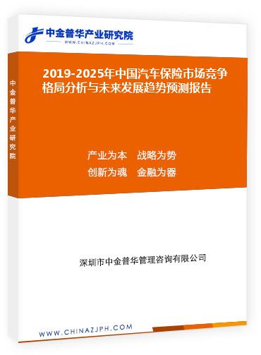 2019-2025年中國汽車保險市場競爭格局分析與未來發(fā)展趨勢預(yù)測報告