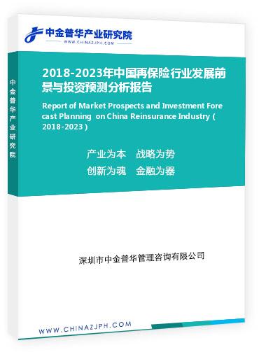 2018-2023年中國再保險行業(yè)發(fā)展前景與投資預(yù)測分析報告