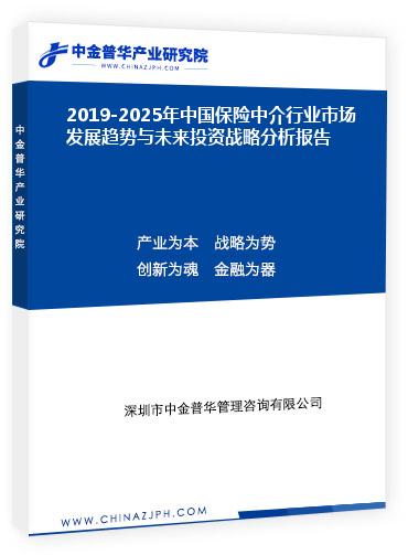 2019-2025年中國(guó)保險(xiǎn)中介行業(yè)市場(chǎng)發(fā)展趨勢(shì)與未來(lái)投資戰(zhàn)略分析報(bào)告