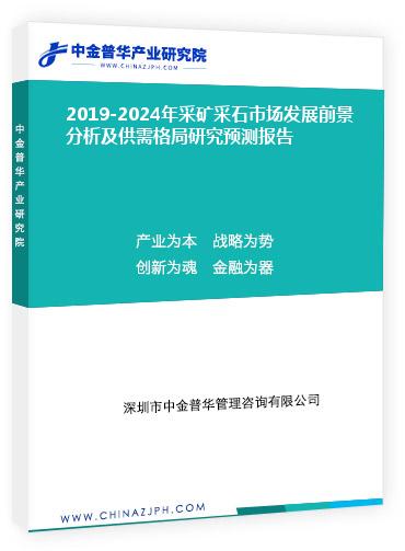 2019-2024年采礦采石市場發(fā)展前景分析及供需格局研究預(yù)測報告